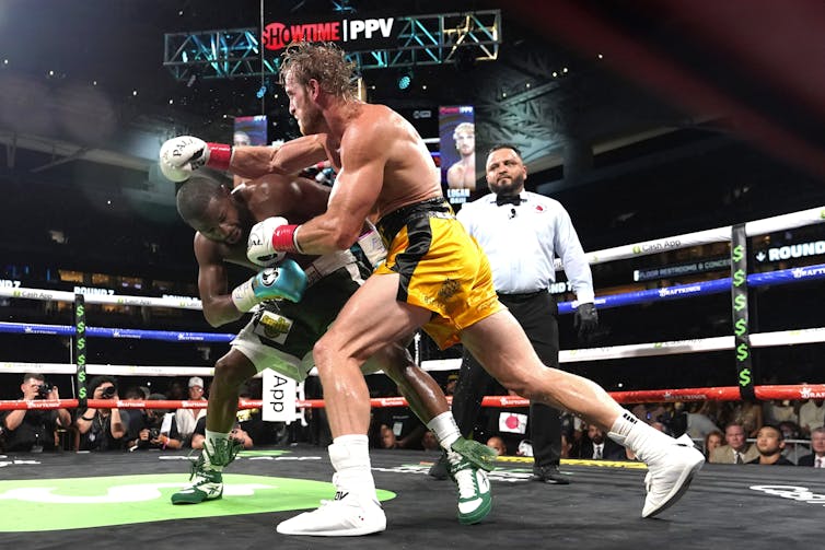 Are Jake Paul and celebrity fights good or bad for elite boxing? - Sportcal