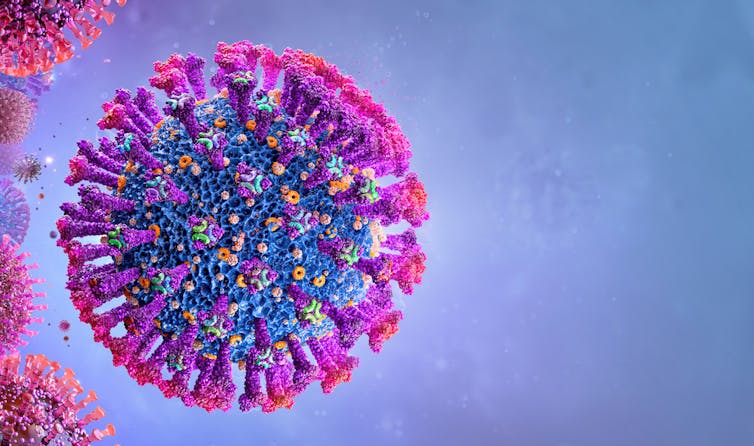 Delta variant coronavirus