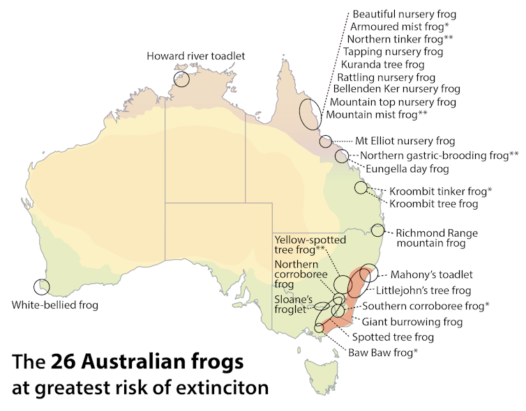 We name the 26 Australian frogs at greatest risk of extinction by 2040 — and how to save them