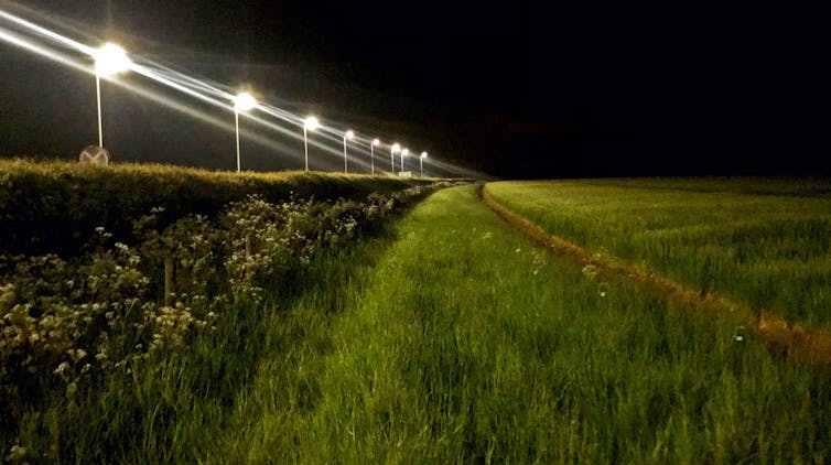 LED street lights at a ruralfield site
