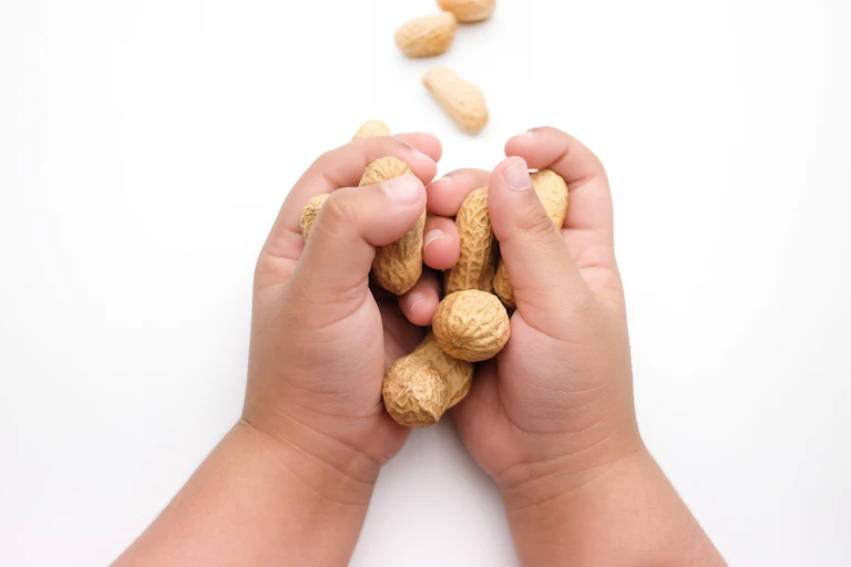 A child's hands holding some peanuts in the shell.