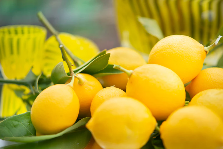 lemons on table