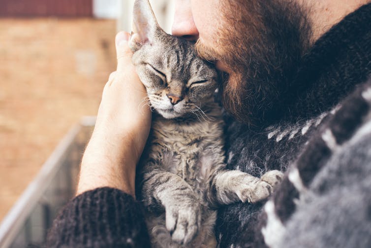 Man with beard kisses pet cat