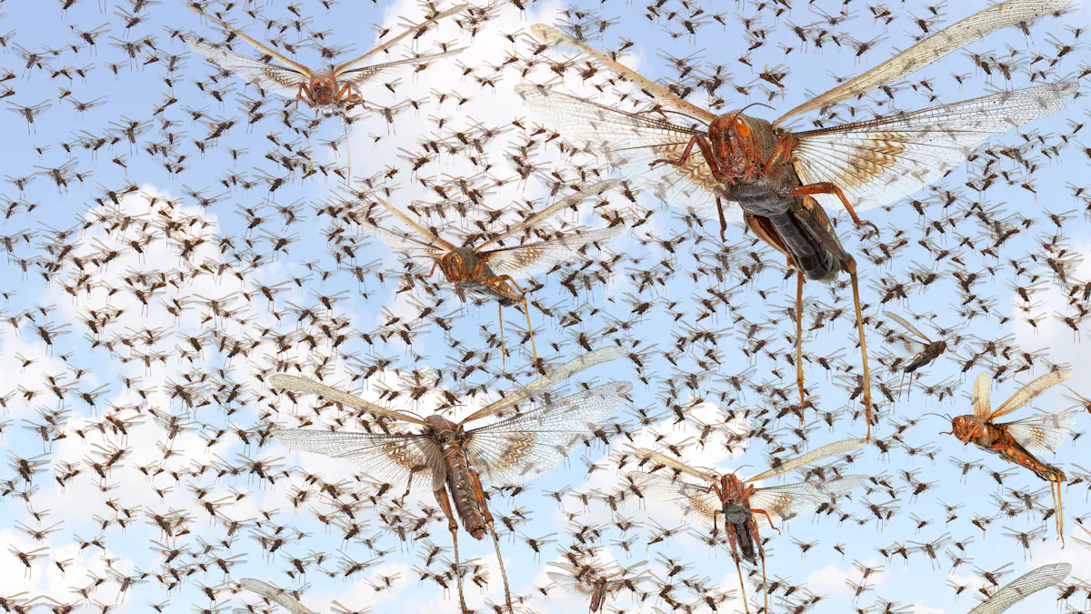 Large Desert Insects Flying Desert Insects