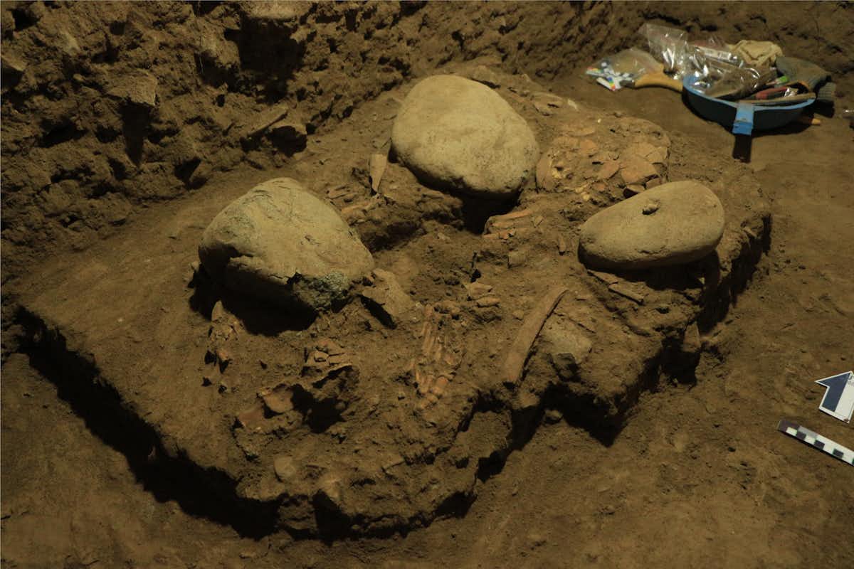 Burial of a Toalean hunter-gatherer woman dated to 7,200 years ago. Bessé’ was 17-18 years old at time of death. She was buried in a flexed position and several large cobbles were placed on and around her body. Although the skeleton is fragmented, ancient DNA was found preserved in the dense inner ear bone (petrous). University of Hasanuddin