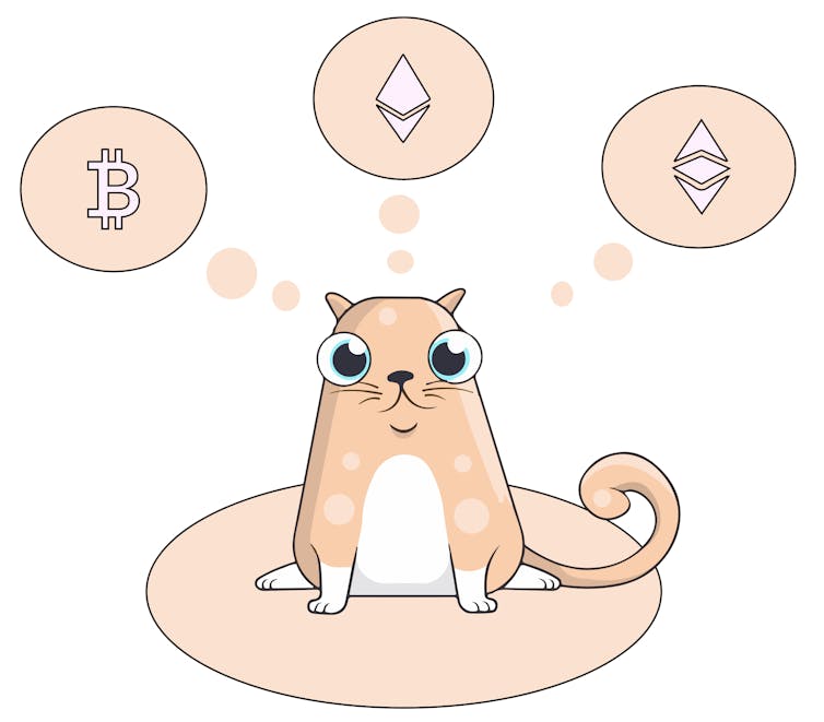 A picture of a CryptoKitty