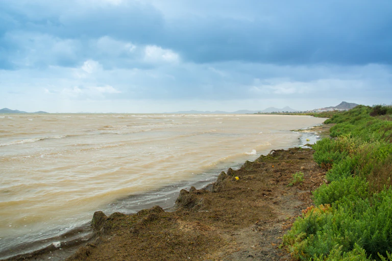 Aguas oscuras y turbias del Mar Menor