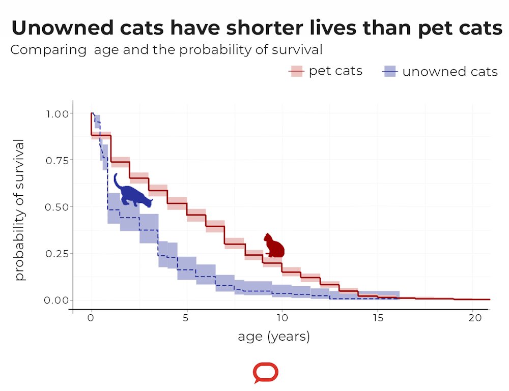 Feral cat online life expectancy