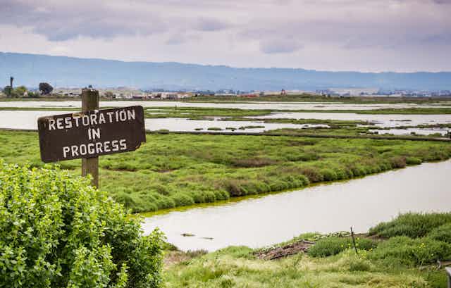 a sign marked 'restoration in progress' on a wetland