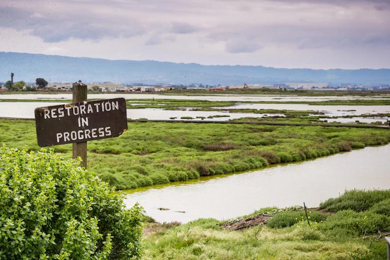 a sign marked 'restoration in progress' on a wetland