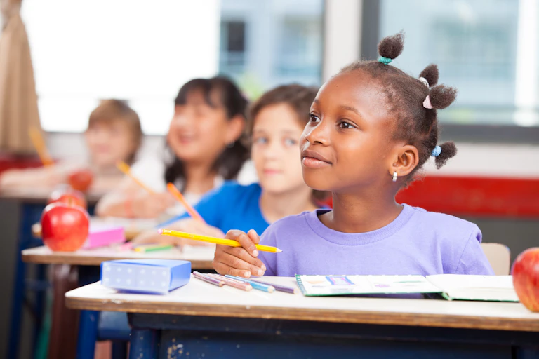 Primary school students in classroom.