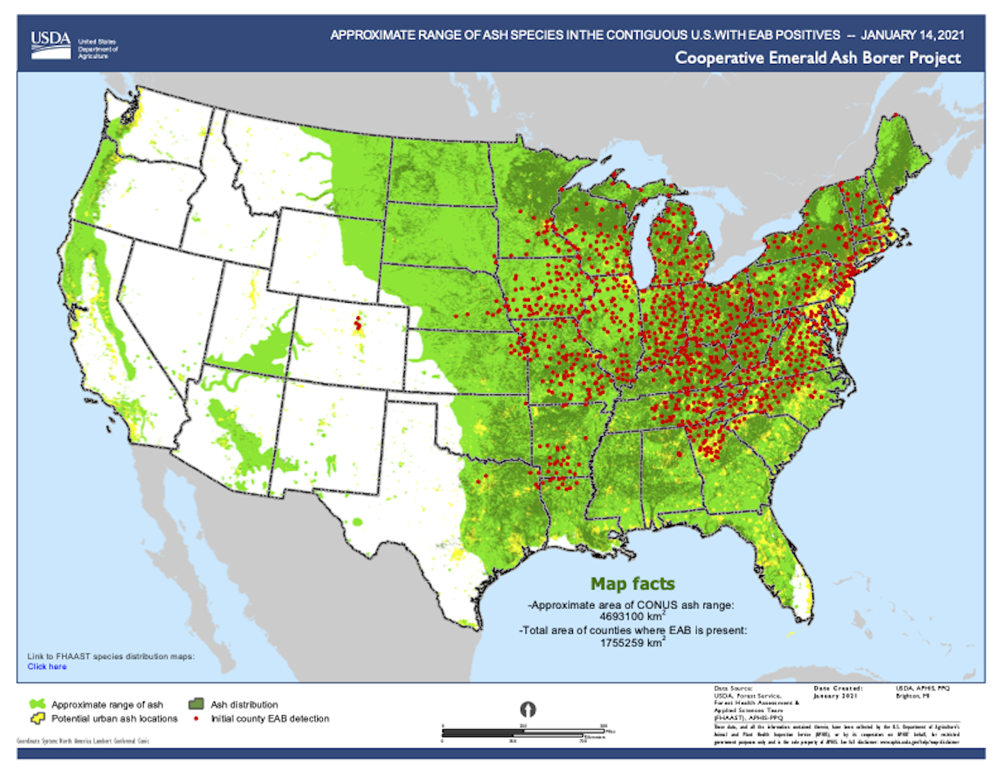 Map showing range of ash trees and counties where emerald ash borer has been detected.
