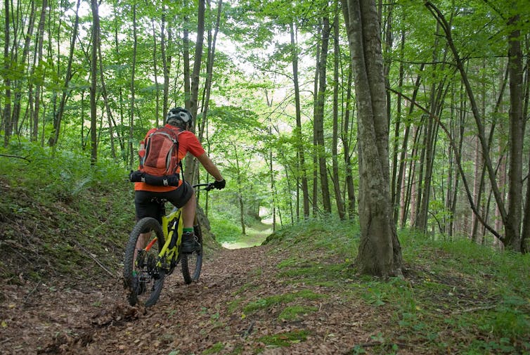 Man cycling on electric bike through woodland.
