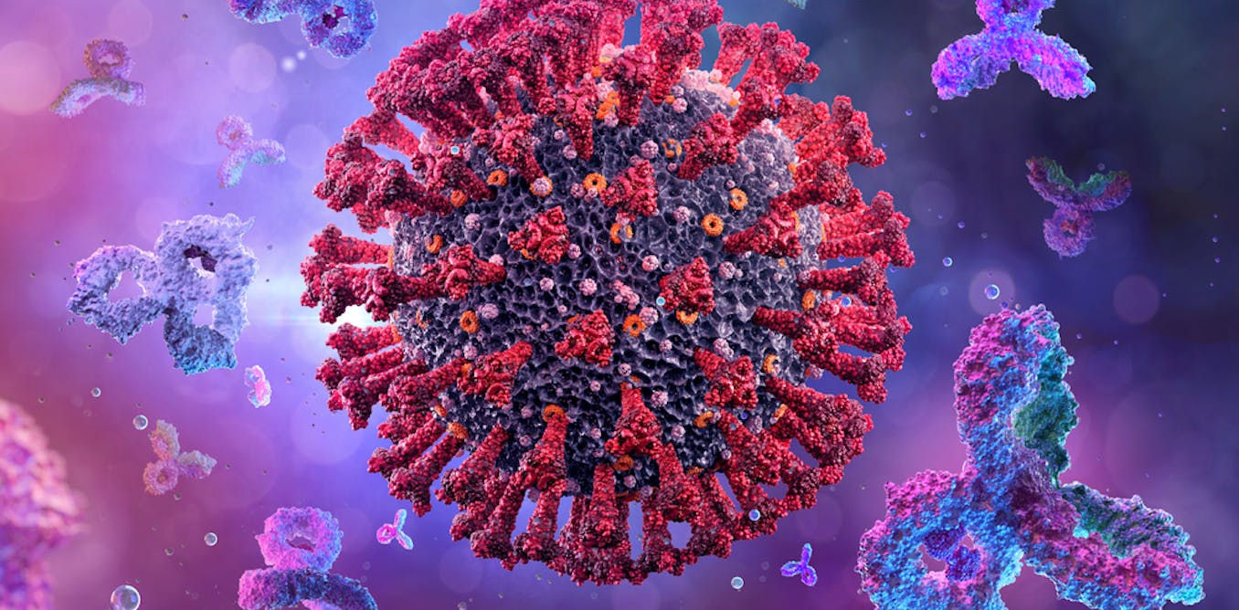Coronavirus disease COVID19 World Health Organization WHO