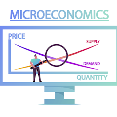microeconomic research article