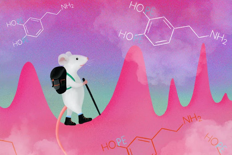 A drawing of a mouse with a walking stick amongst a pink background with molecules of dopamine.