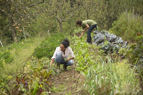 An environmental sociologist explains how permaculture offers a path to climate justice