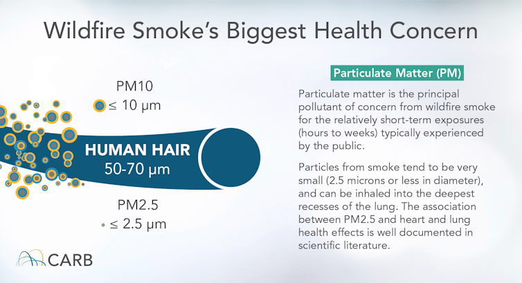 Illustration showing PM2.5 compared to a human hair's width.