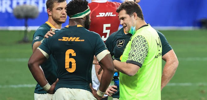 Springboks News Research And Analysis The Conversation Page 1 Springboks News Research And Analysis The Conversation Page 1
