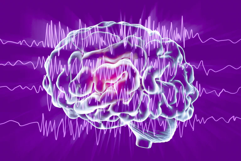 An illustration of a brain and brain waves.