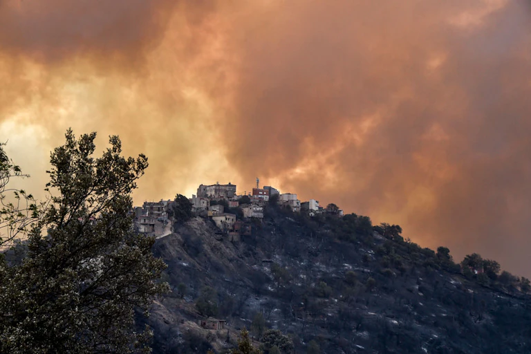 Smoke rises from a wildfire in the forested hills.