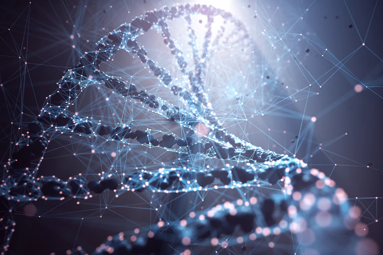 An illustration of a strand of DNA