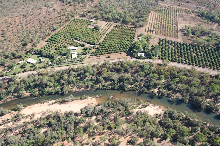 Farms in the Katherine-Daly region.