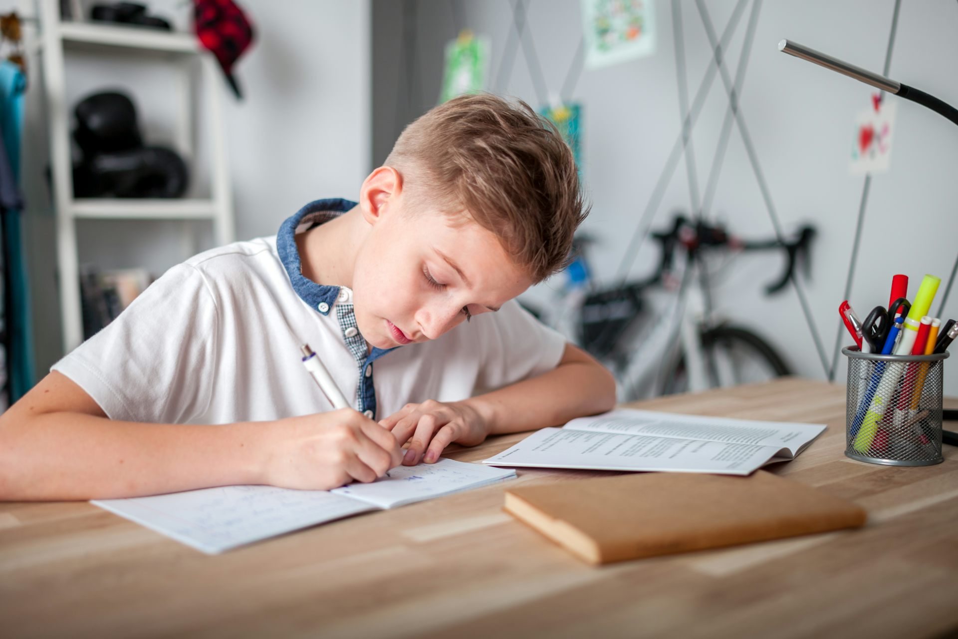 Students doing Homework