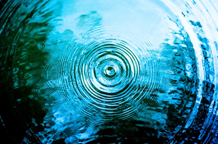 Rings of ripples in a body of water.