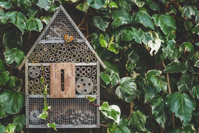 An insect hotel in garden with a butterfly on it