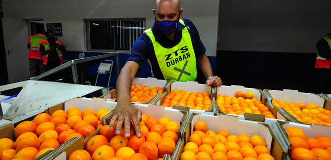 file-20210901-24-1euivqd.jpg?ixlib=rb-1.1.0&q=45&auto=format&w=668&h=324&fit=crop