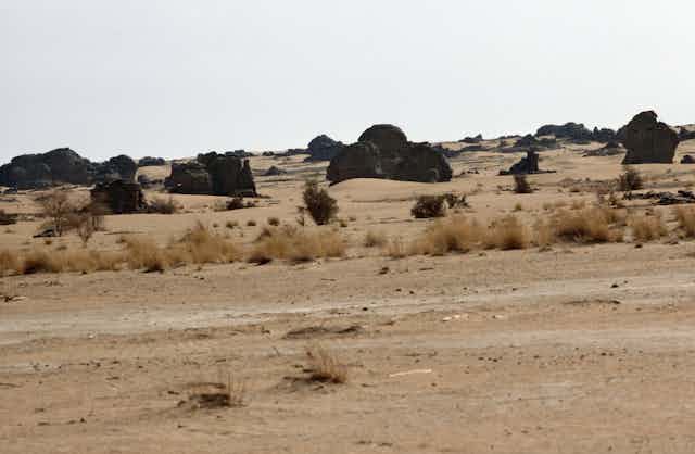 Desertscape, Niger (West Africa), Sahelian Landscape, Semi-Aride Land Prone To Drought And Erosion