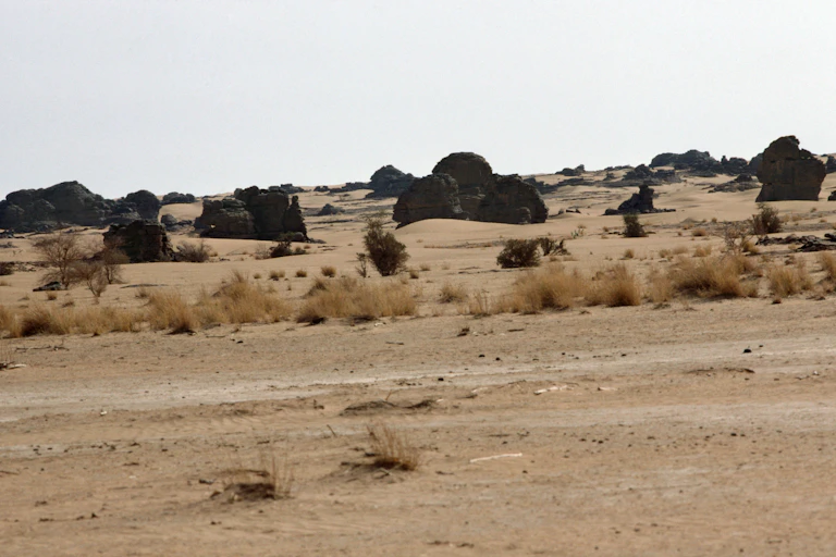 Desertscape, Niger (West Africa), Sahelian Landscape, Semi-Aride Land Prone To Drought And Erosion