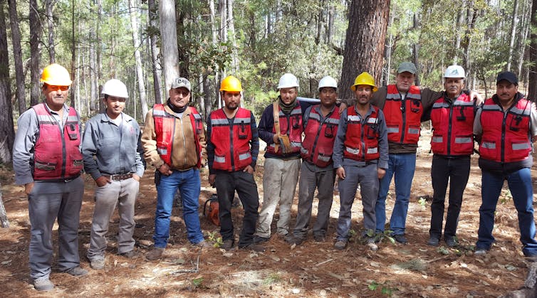 Foresters outdoors in hard hats and safety vests.