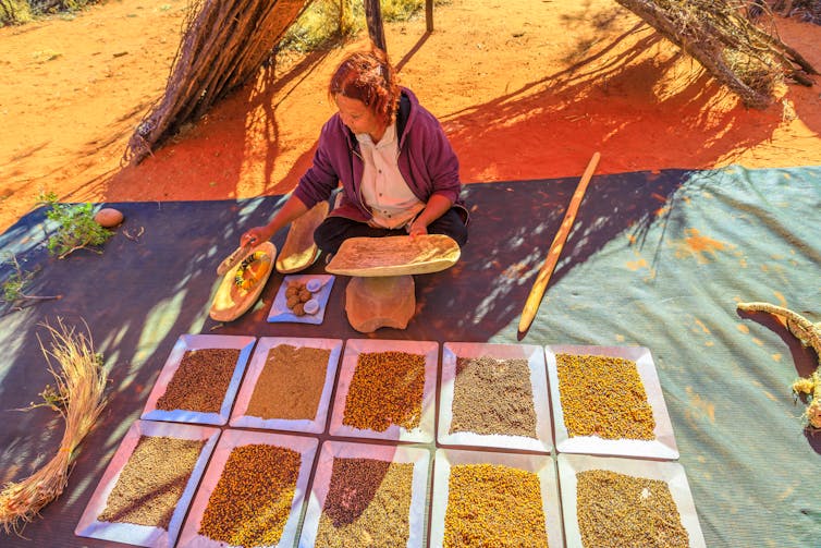 Traditional bush seeds used for food and agriculture.