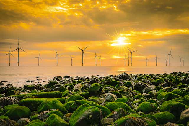 Mossy rocks in front of offshore wind turbines 