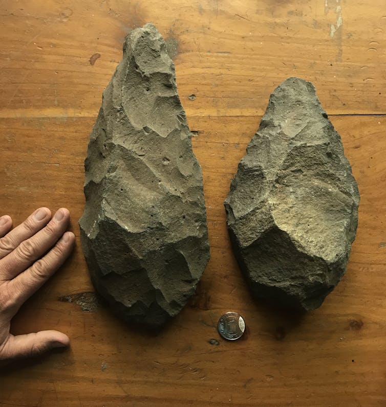 Image of handaxes made by Homo erectus, from Lake Natron, Tanzania.