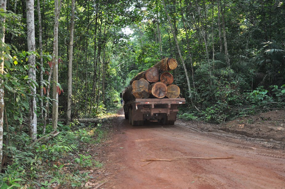 A truck transports logs in the Amazon.