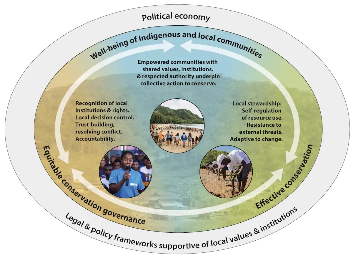 Conservation works better when local communities lead it, new evidence ...