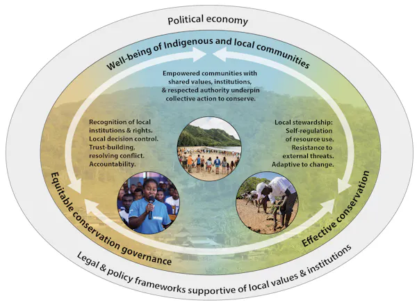Conservation works better when local communities lead it, new evidence ...