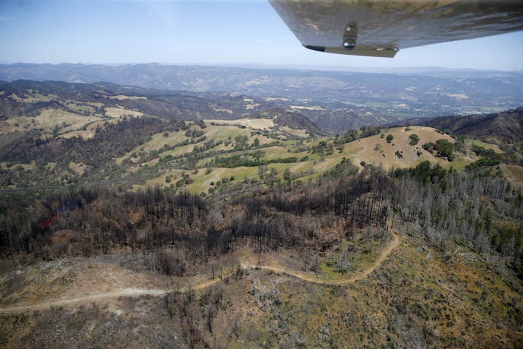 Wildfire burn scars can intensify and even trigger thunderstorms, leading to catastrophic flooding – here's how