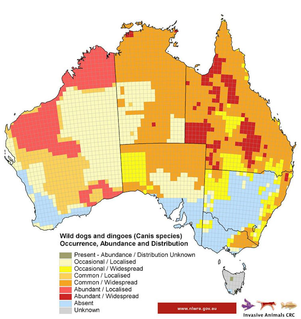 Want dingoes to leave people alone? Cut the junk food Biology Diagrams