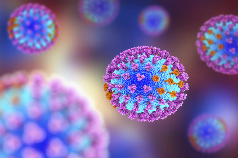 Influenza virus