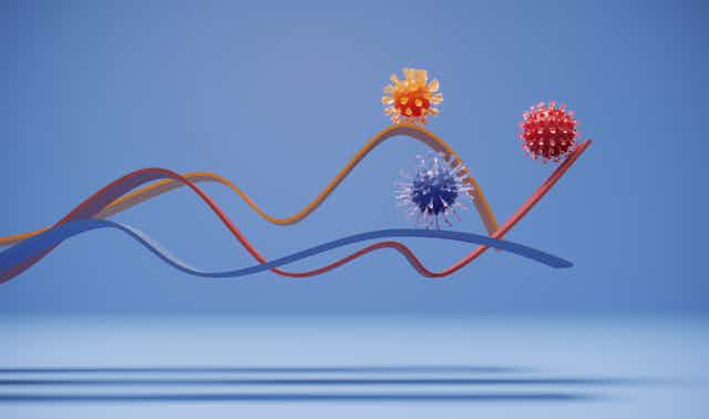 Three coronaviruses on different lines on a chart.