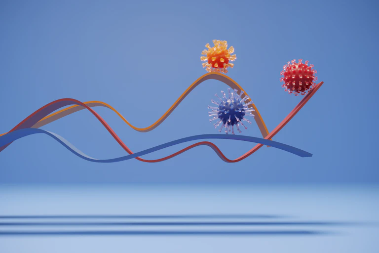 Three coronaviruses on different lines on a chart.