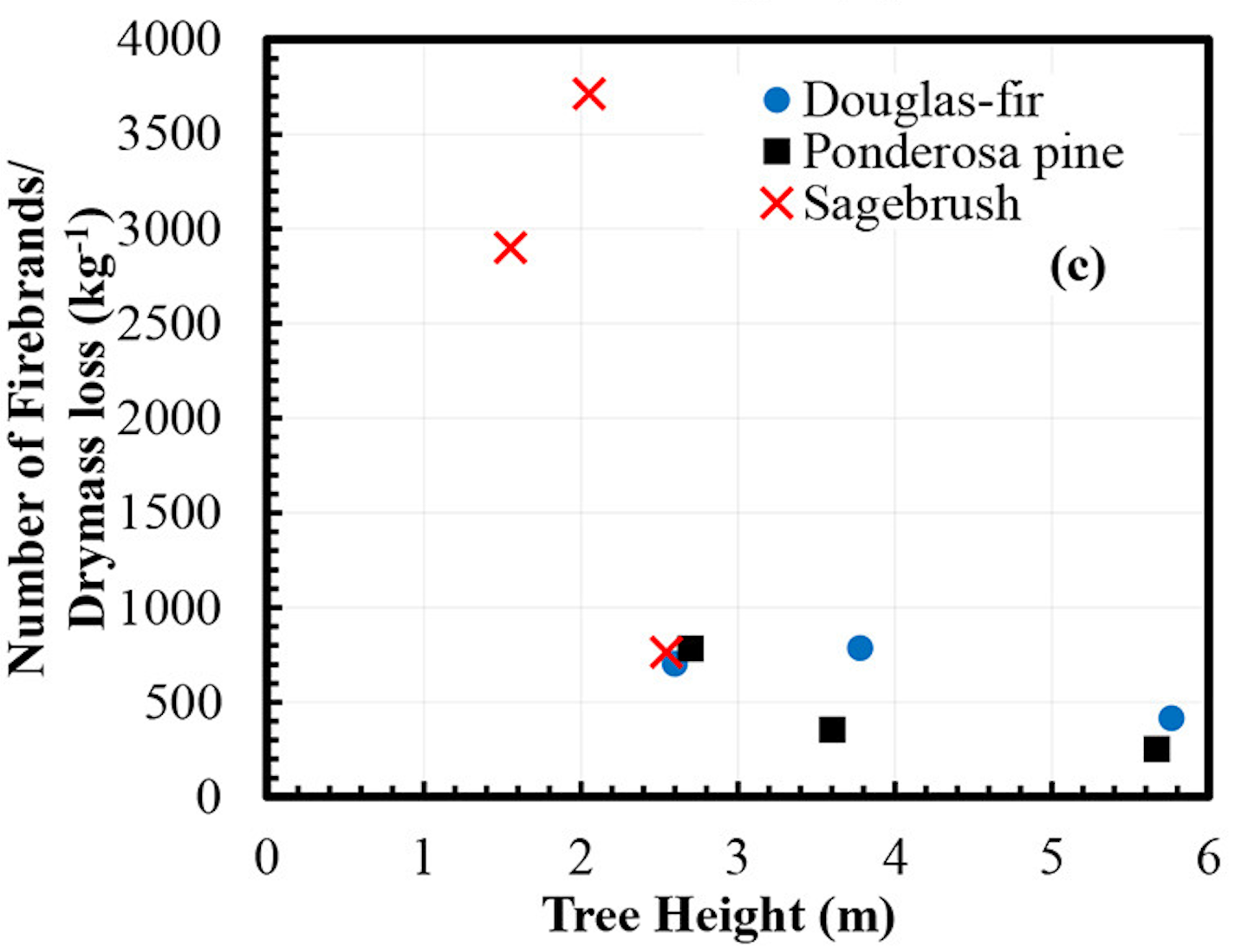 Scatterplot chart compares number of firebrands per mass to the tree height. Taller trees had fewer firebrands.