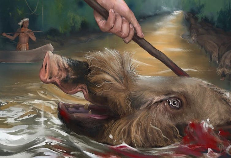 how decimation of Borneo's ancient rainforests threatens hunters and the hunted