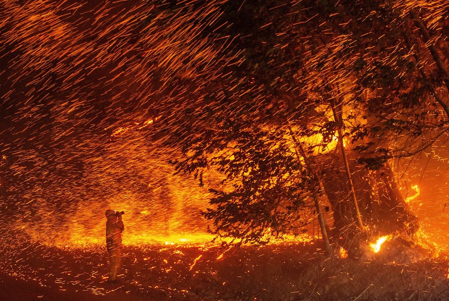 A photographer stands in what looks like a rain of fire as wind blows flaming embers from trees