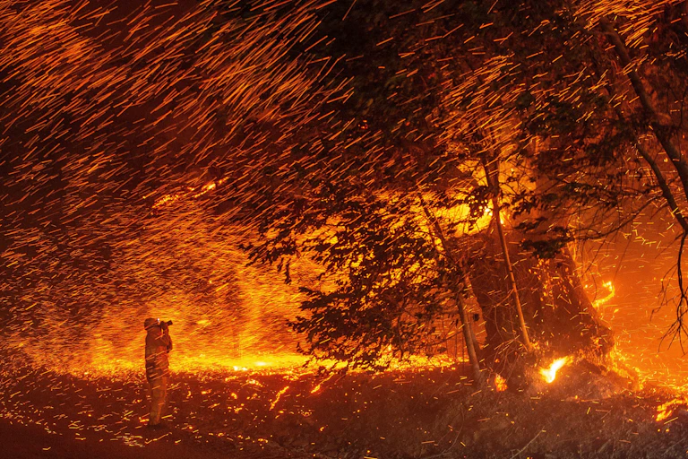 A photographer stands in what looks like a rain of fire as wind blows flaming embers from trees