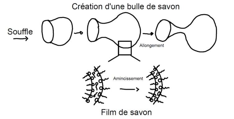 Les Bulles De Savon Sont Une Source Populaire De Savons Et D'eau.